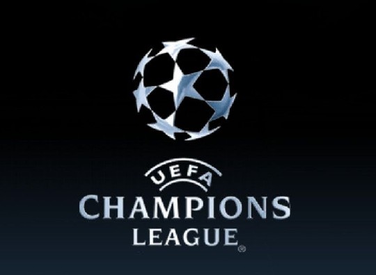 绚烂的花朵 绚烂的花朵